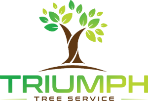 Triumph Tree Service